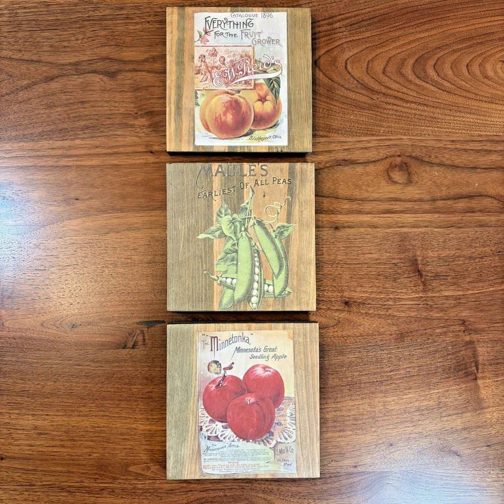 Lot of 3 Vintage-Look Wooden Fruit Signs Wall Decor Handmade Kitchen Plaques